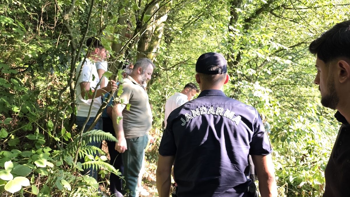 Akyazı’da Ormanlık Alanda 68 Yaşındaki Adam Ölü Bulundu