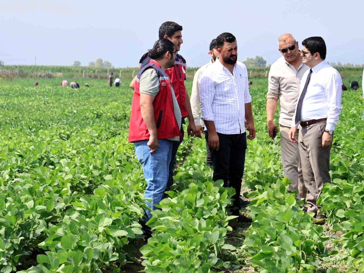 Arsuz’da İlk Soya Hasadı Beklentisi
