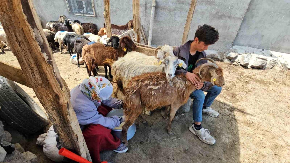 Bitlis’te Yayla Sezonu Başladı
