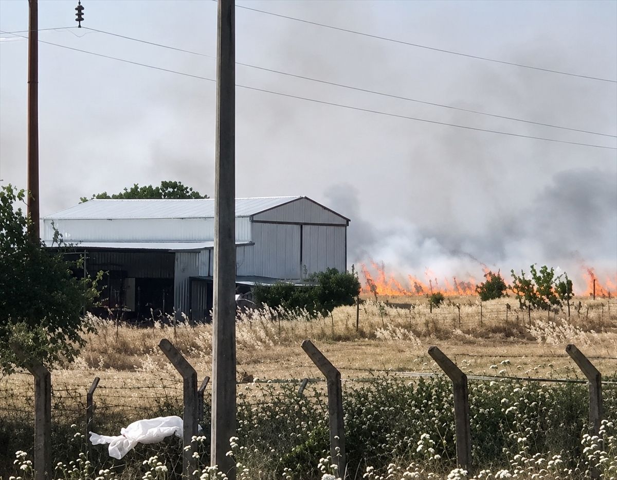 Çanakkale’de Tarım Arazisinde Yangın