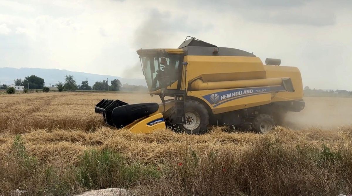 Düziçi’nde Buğday Hasat Sezonu Başladı