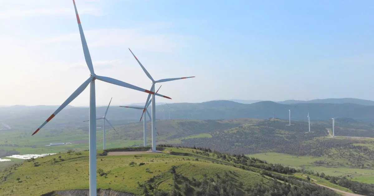 Enerjisa Üretim Türkiye’nin Enerji Dönüşümünü Yenilenebilir Kaynaklarla Hızlandırıyor