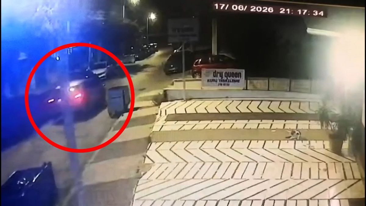 İBB Kültür A.Ş. Genel Müdür Yardımcısı Karaal’ın kaçırılmasına ilişkin gözaltı sayısı 12’ye yükseldi