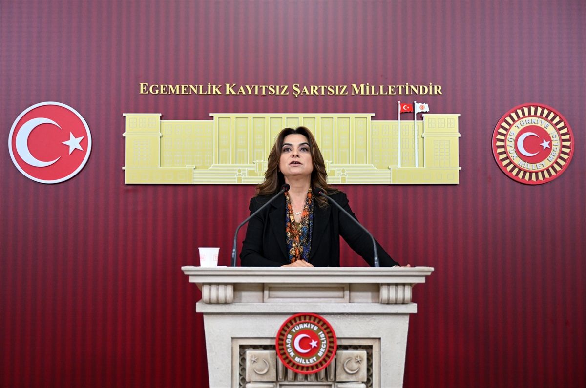 Koçyiğit’ten 12. Yargı Paketi Eleştirisi