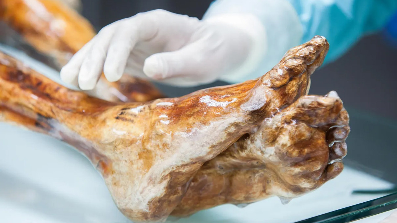 Laboratuvarda şok eden üreme: 5 bin yıllık Ötzi mumyasında hayat devam ediyor