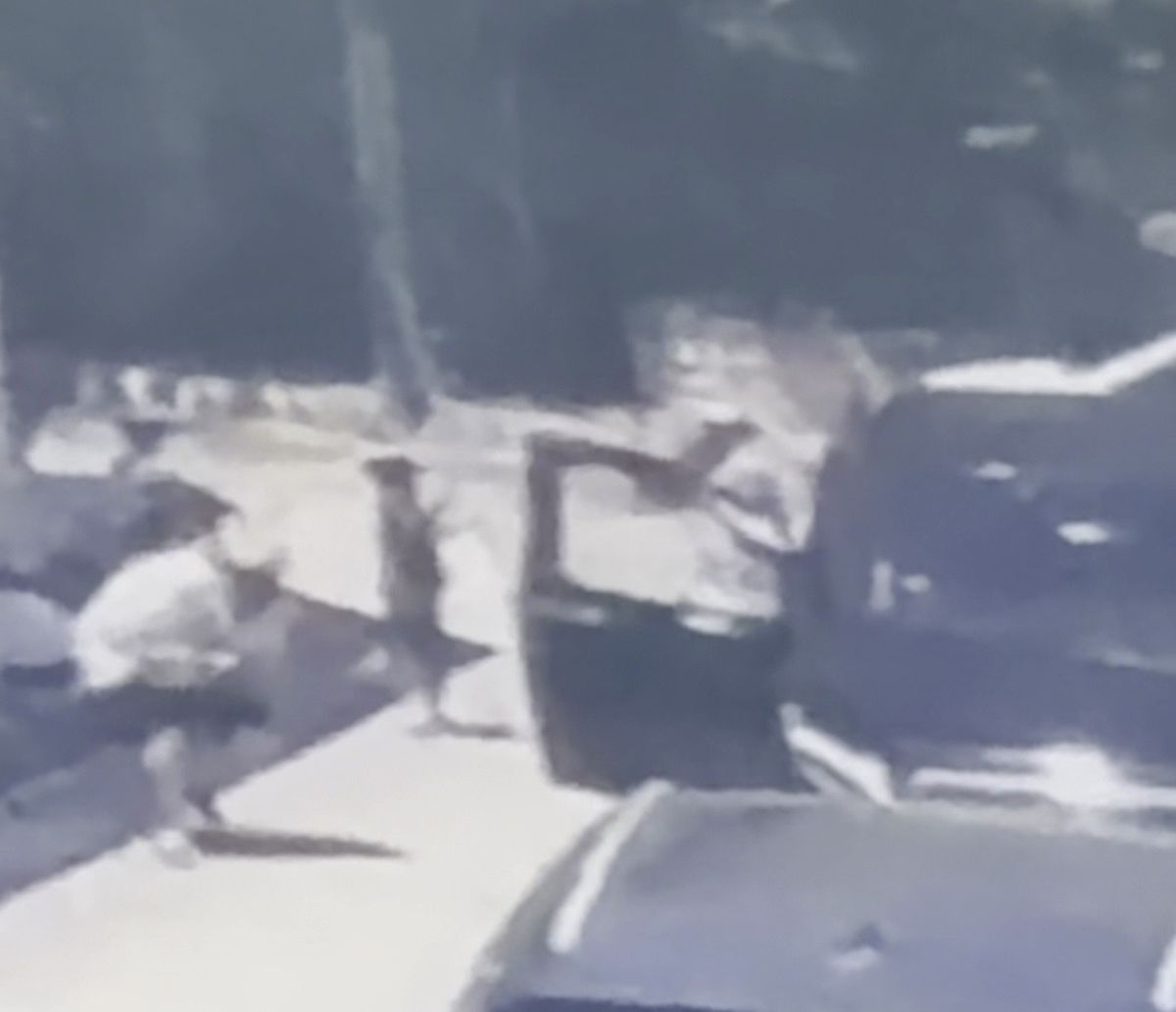 Sanal Fenomenin Korumasına Saldırı Anı Kamerada