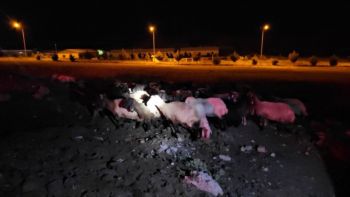 Siirt’te Rögar Suyu Zehirledi!