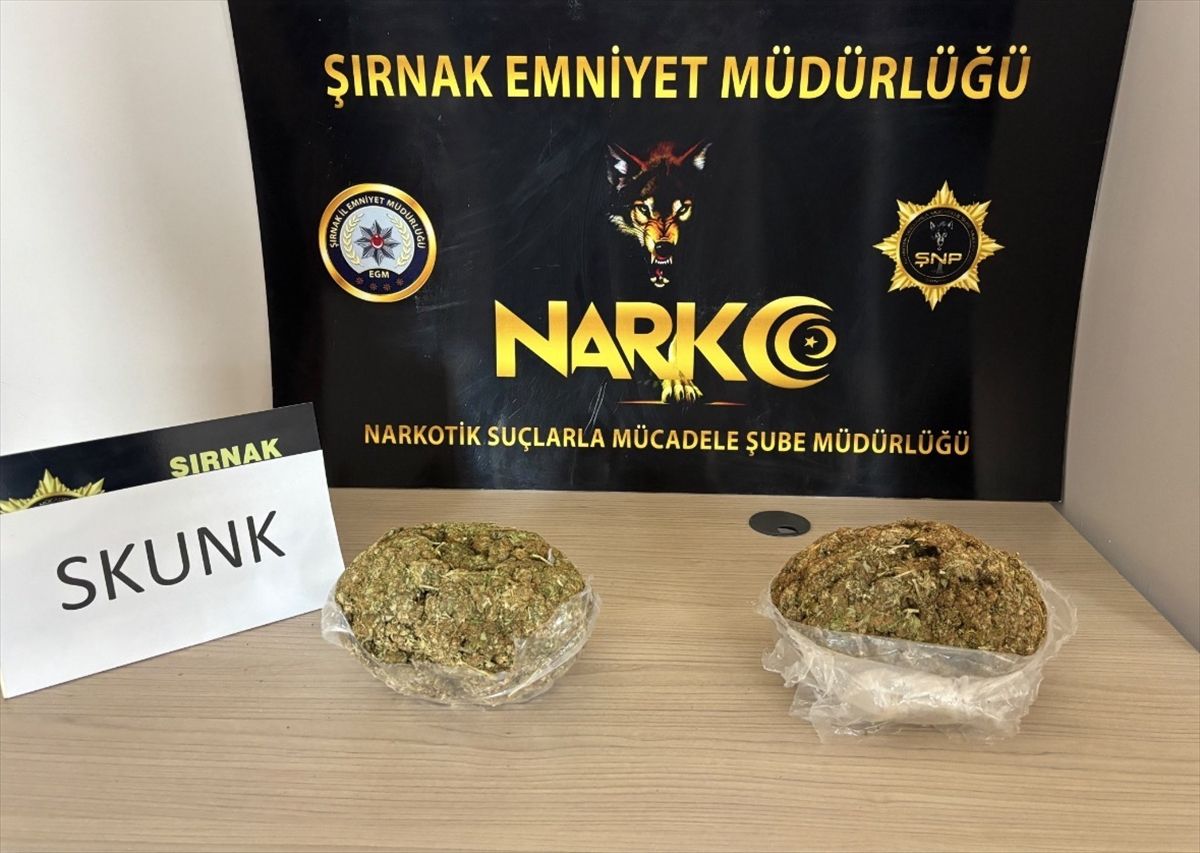 Şırnak’ta 1 Kilogram Skunk Ele Geçirildi