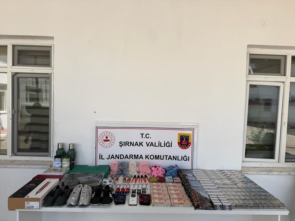 Şırnak’ta Kaçakçılık Operasyonları: 94 Gözaltı