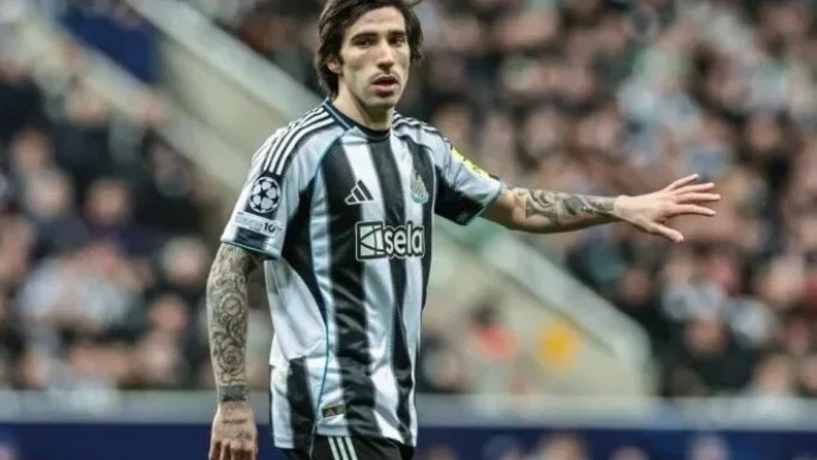 Tottenham’dan Tonali bombası! De Zerbi transfer için devrede
