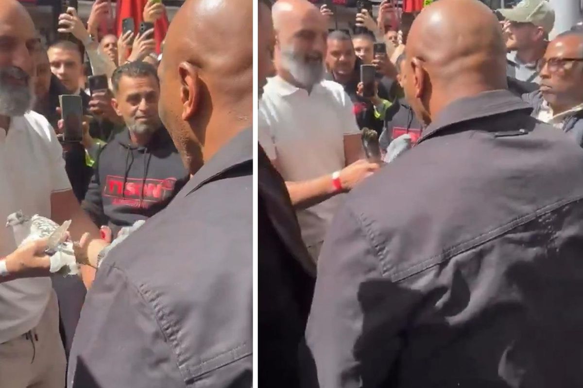 Türk hayrandan Tyson’a unutamayacağı hediye