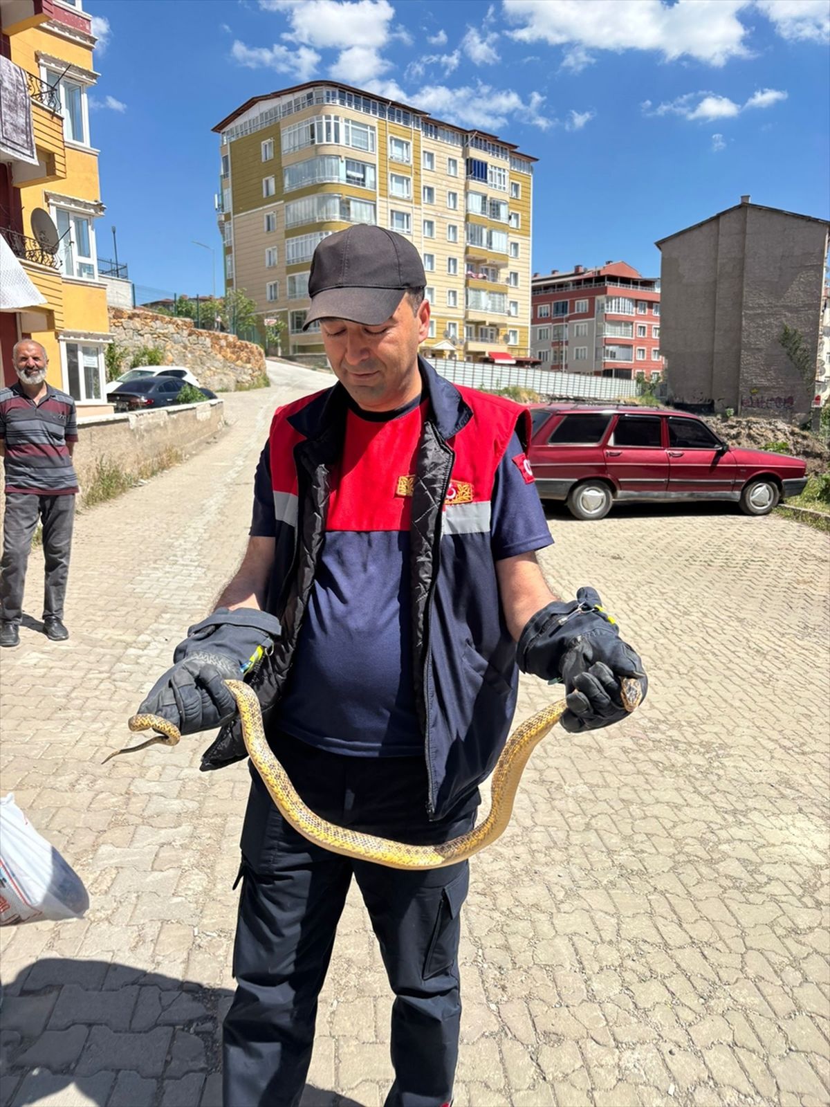 Yozgat’ta Otomobilden Yılan Çıkarıldı